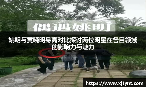 姚明与黄晓明身高对比探讨两位明星在各自领域的影响力与魅力